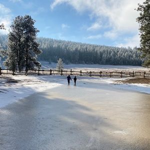 Meet your Posher, Will